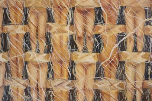 Exposição "Sob a febril agitação de um pulso"