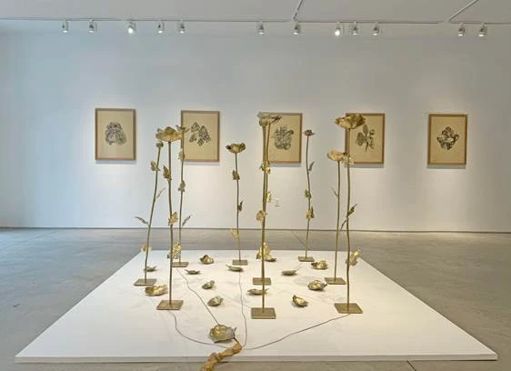 Exposição individual "ATRAVÉS DO VÉU VERDE", de Edo Costantini
