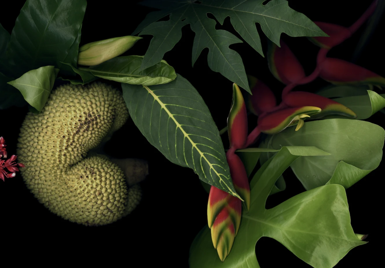 Exposição "Luzia Simons – Passagem pelo Jardim de Lina Bo e P.M. Bardi"
