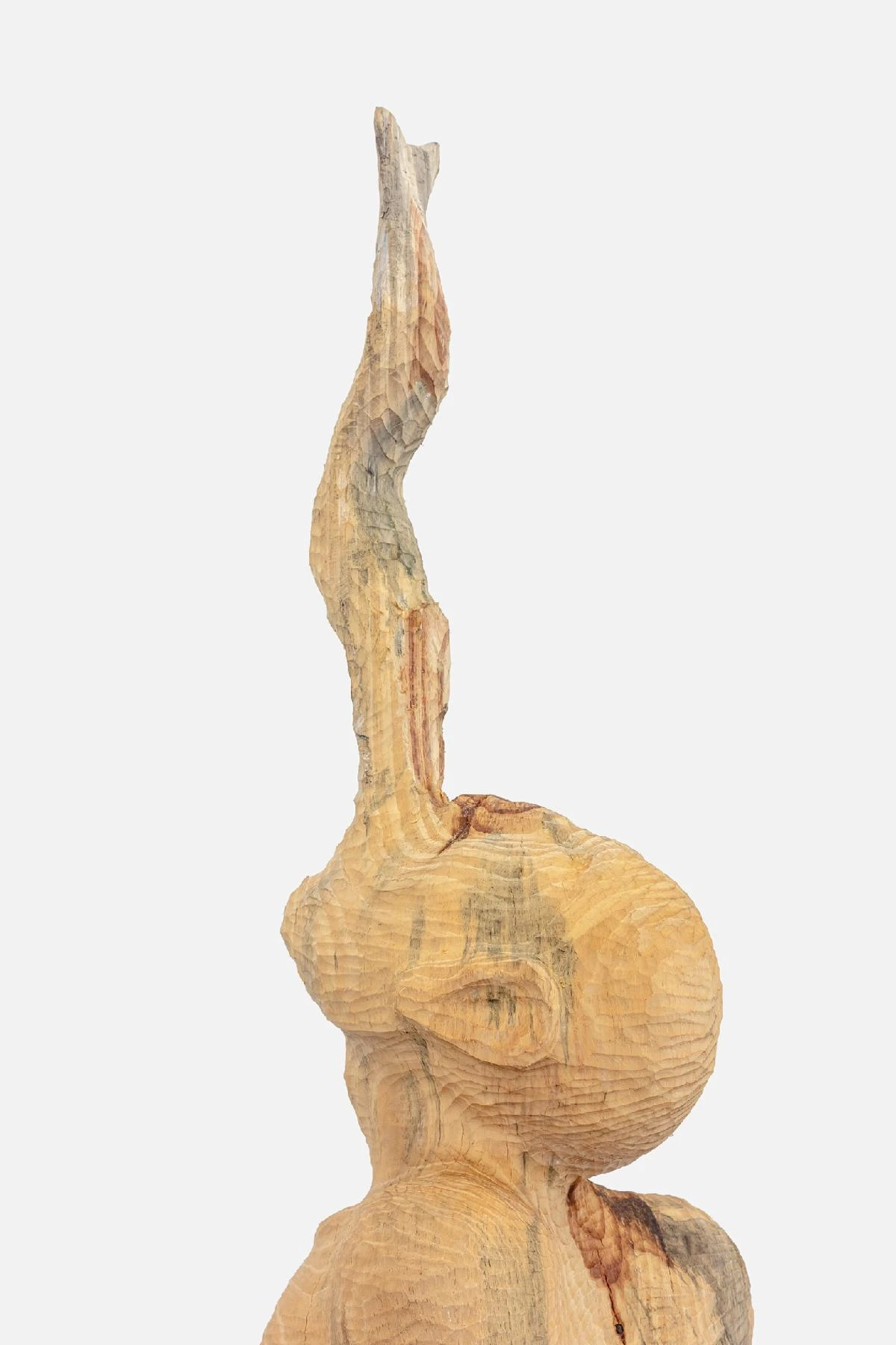 Exposição individual "Peixe das Nuvens", de Zé Carlos Garcia