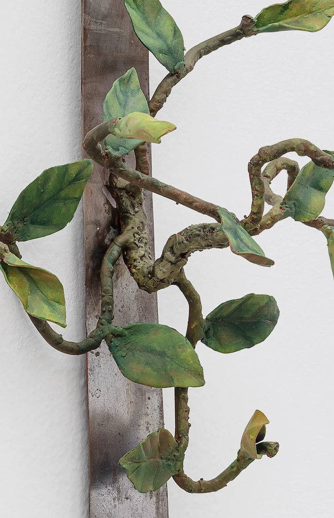 Exposição individual “Para não dizer que não falei das flores”, de Marcos Roberto