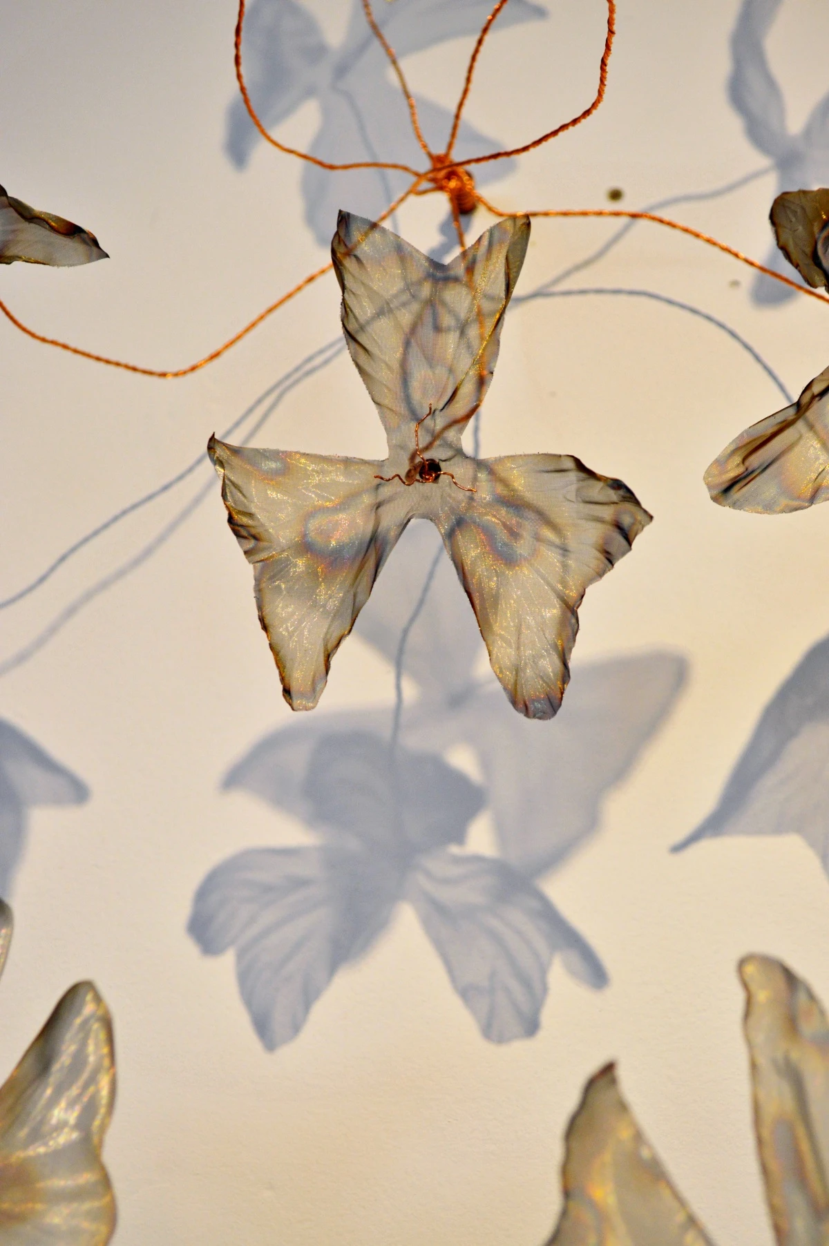 Exposição individual "Matéria Sutil", de Daniela Cutait