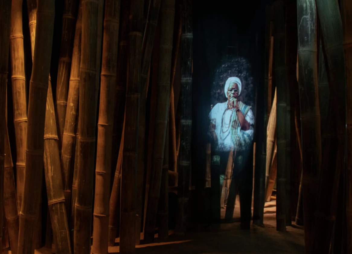 Exposição "Floresta de Infinitos"