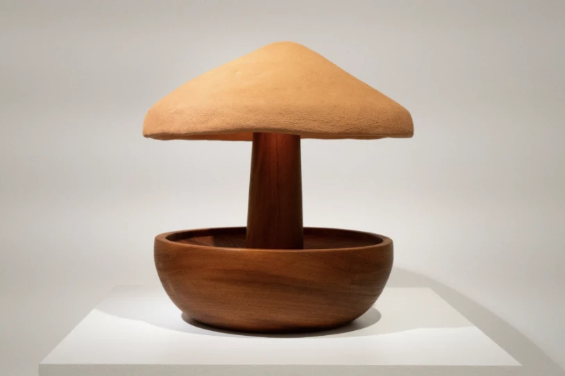 Exposição “Matéria.Design - A Terra”