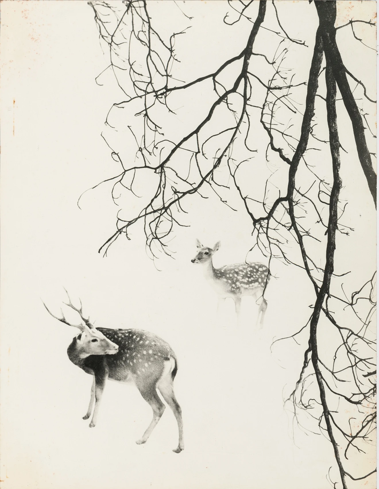 Exposição coletiva "Ecos e miragens"