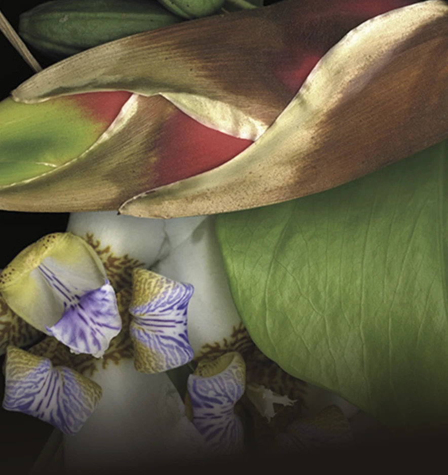 Exposição individual "Paisagens Passagens", de Luzia Simons