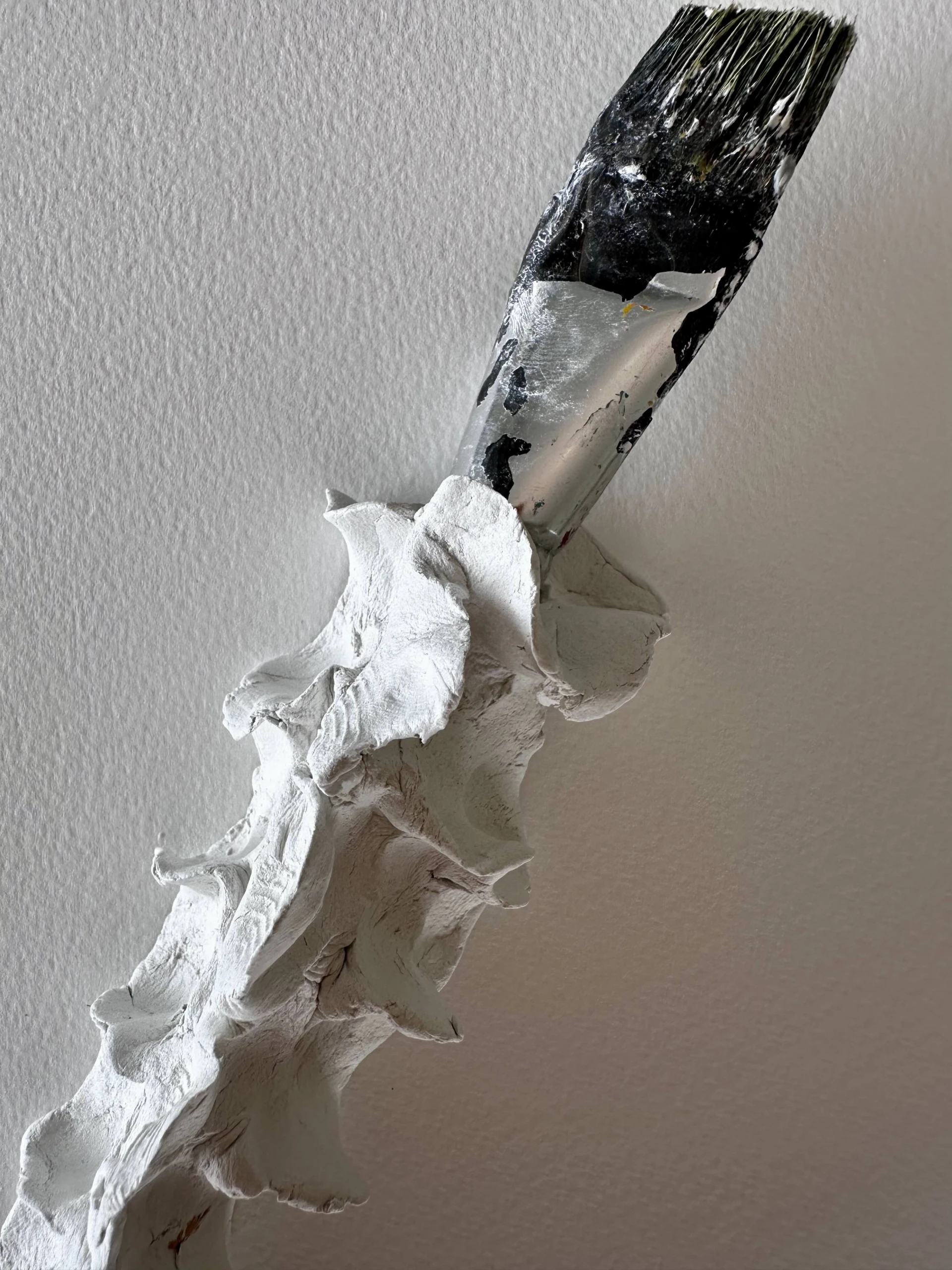 Exposição individual “REIMPRESSÕES”, de Renata Pelegrini