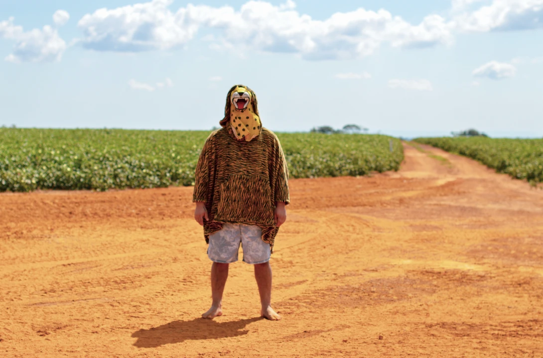 Exposição "Bifurcações Vegetais"