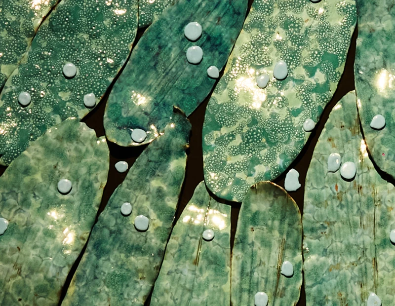 Exposição individual "Leo Battistelli: água viva"