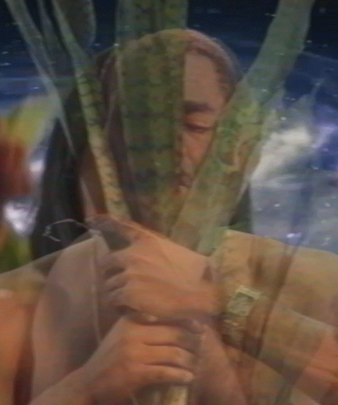 Exposição "O JARDIM" (Trilogia das Plantas 2), de Denilson Baniwa e Felipe M. Bragança