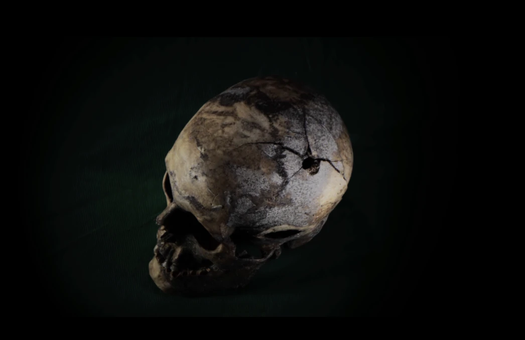 Sala de Vídeo: Maya Watanabe