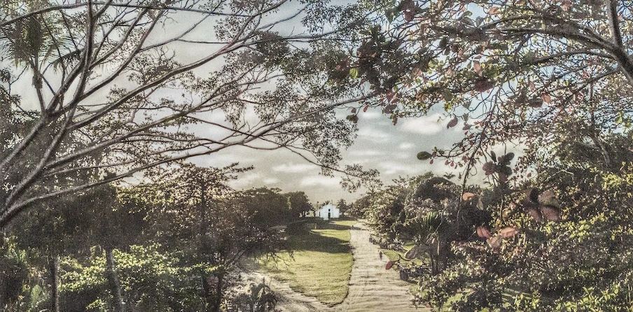 Exposição individual “Sul da Bahia”, de Cássio Vasconcellos