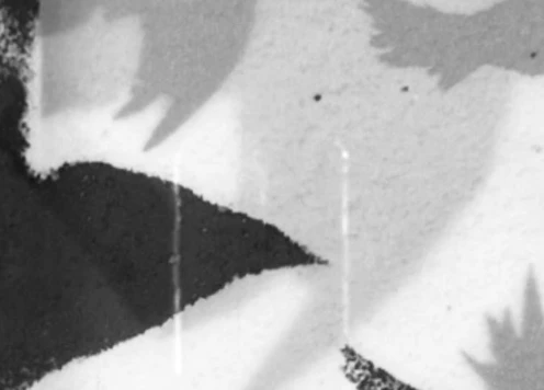  Exposição individual "Voo no Breu", de Claudia Tavares