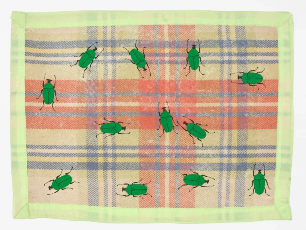 Exposição "Beleza cotidiana" | Feliciano Centurión