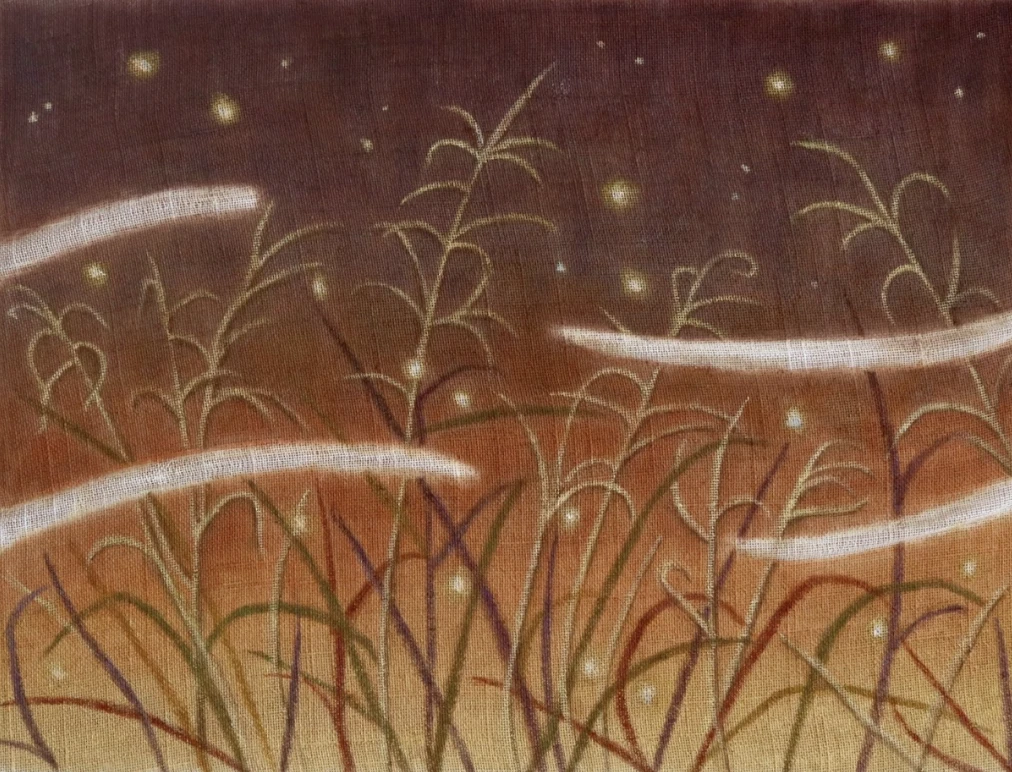  Exposição individual "Efêmera Luz", de Aryane Siebra