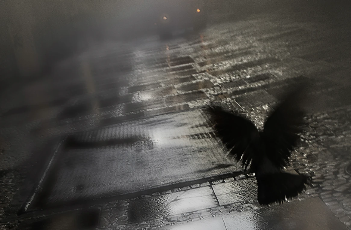 Exposição individual "Régis, cadê você?", de Lucia Lang