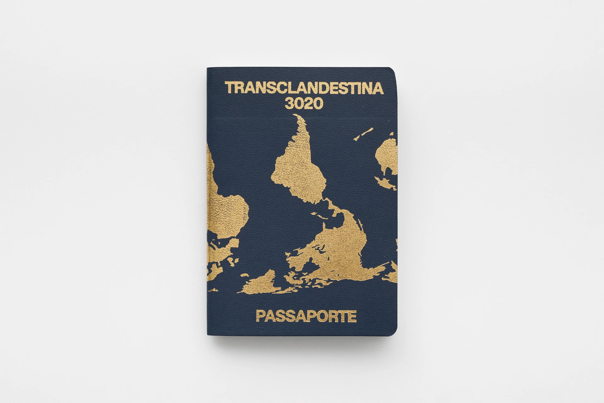 Exposição "TRANSCLANDESTINA 3020", de Manauara Clandestina