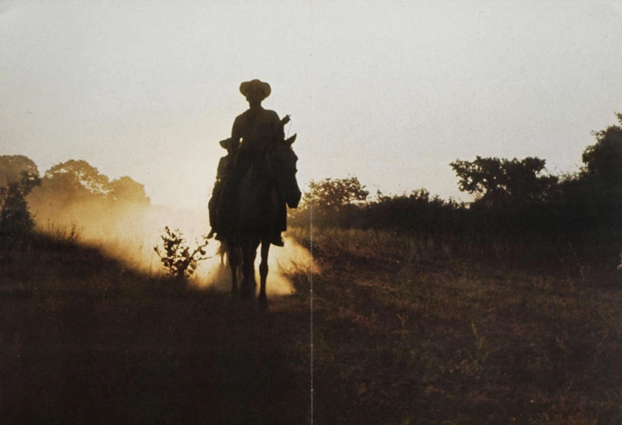 Exposição coletiva "O que elas viram: fotolivros históricos de mulheres, 1843-1999"