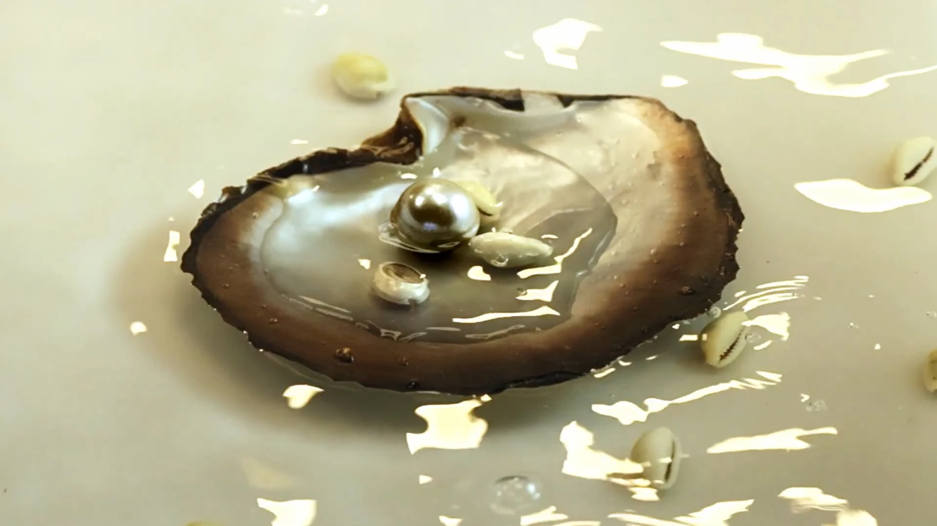 4ª edição Festival de Videoarte da Simões de Assis