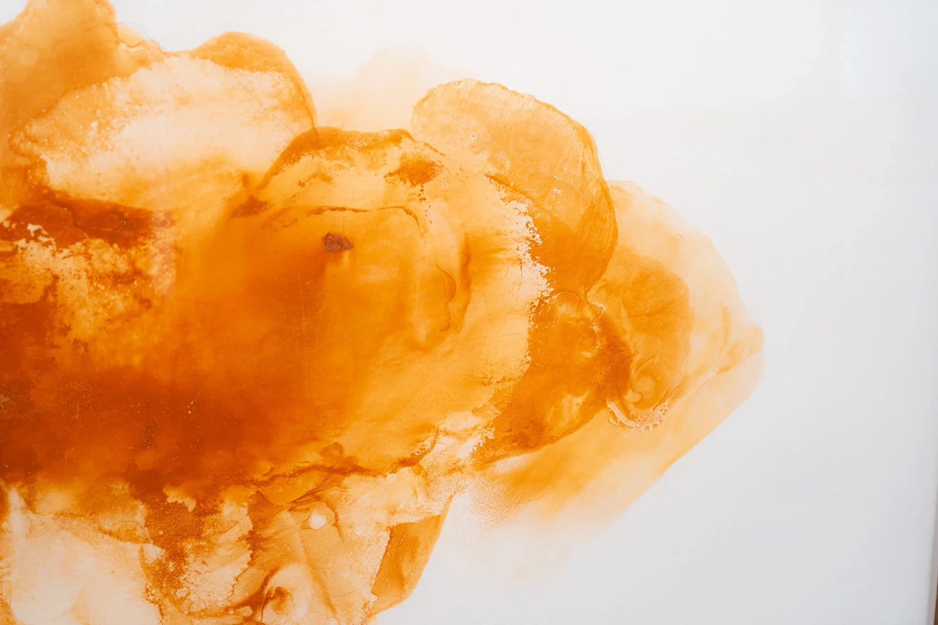 Exposição individual "Intempéries", de Ana Amélia Genioli