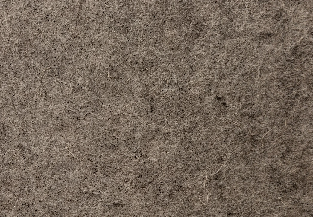 Exposição individual "O Cordial, o Simpático e o Vândalo", de Marcelo Cidade