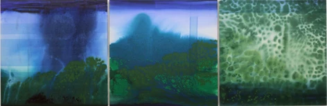 Exposição individual "TORÓ", de Niura Bellavinha