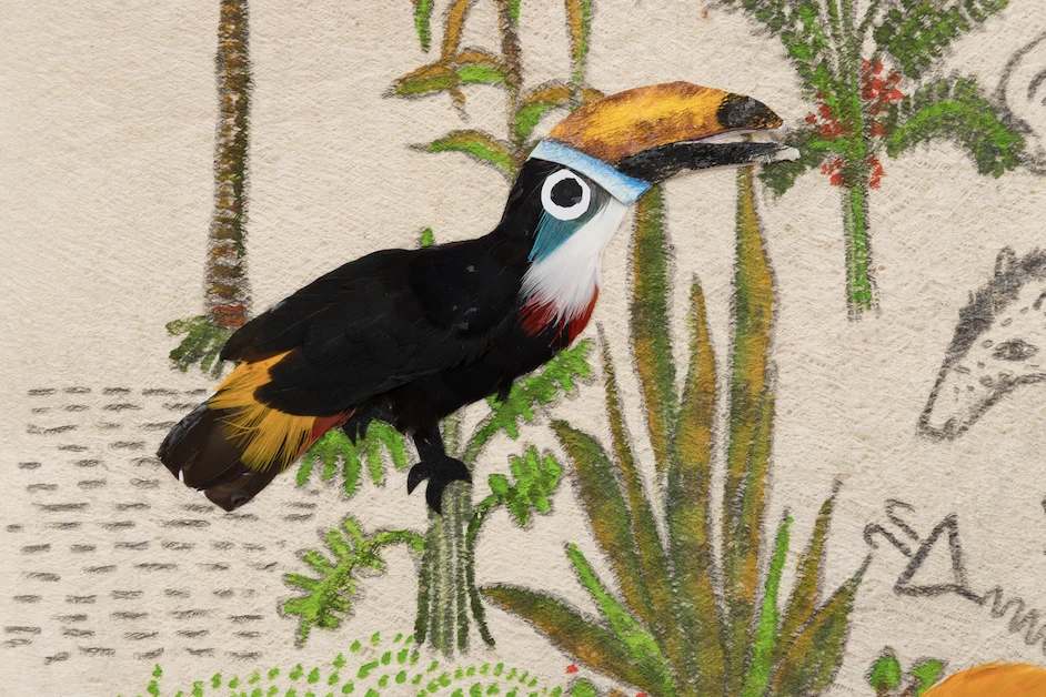 Exposição individual "Yawara Akanga", de Denilson Baniwa