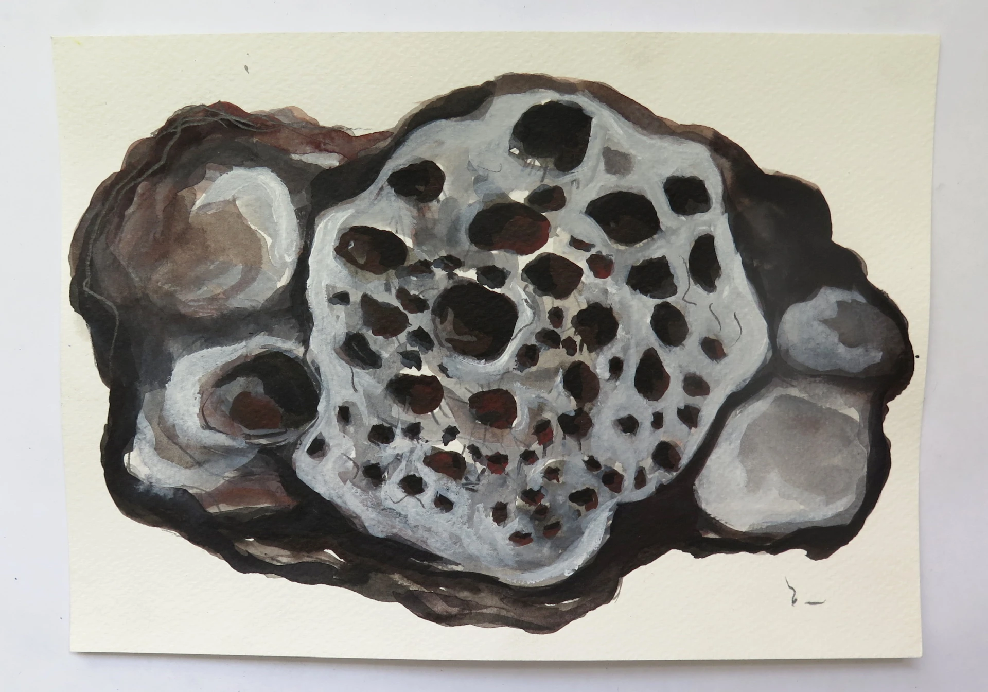 Exposição individual “Cascas casulos e outras coisas sem nome", de Clarissa Mendes