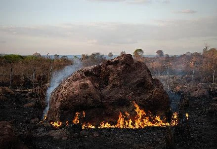 Exposição coletiva "Atlântico Sertão"