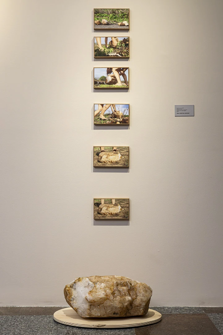 Exposição coletiva "Naveganças"