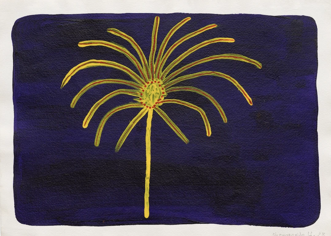 Exposição individual "Thapiri/Sonho", de Sheroanawe Hakihiiwe