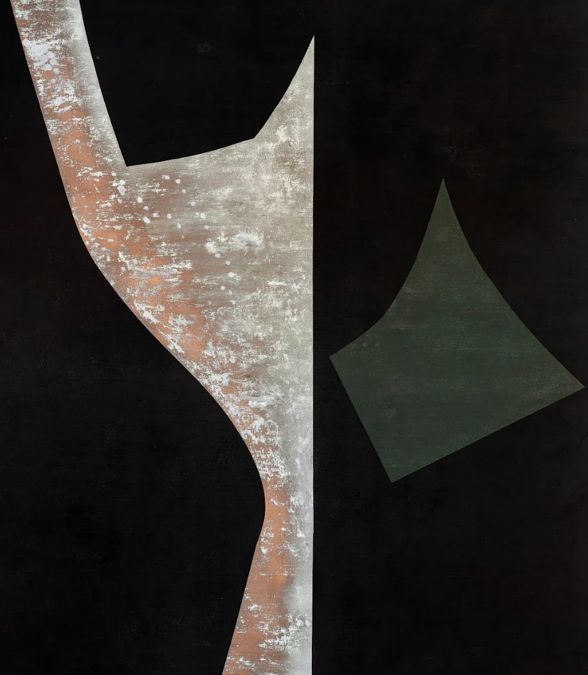 Exposição "Por Alguma Razão", de Paulo Whitaker e Rodrigo Sassi