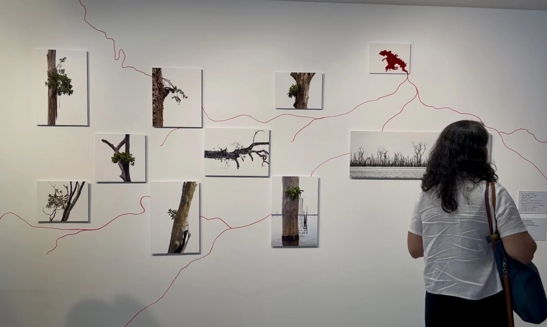 Exposição "Revolução das Plantas"