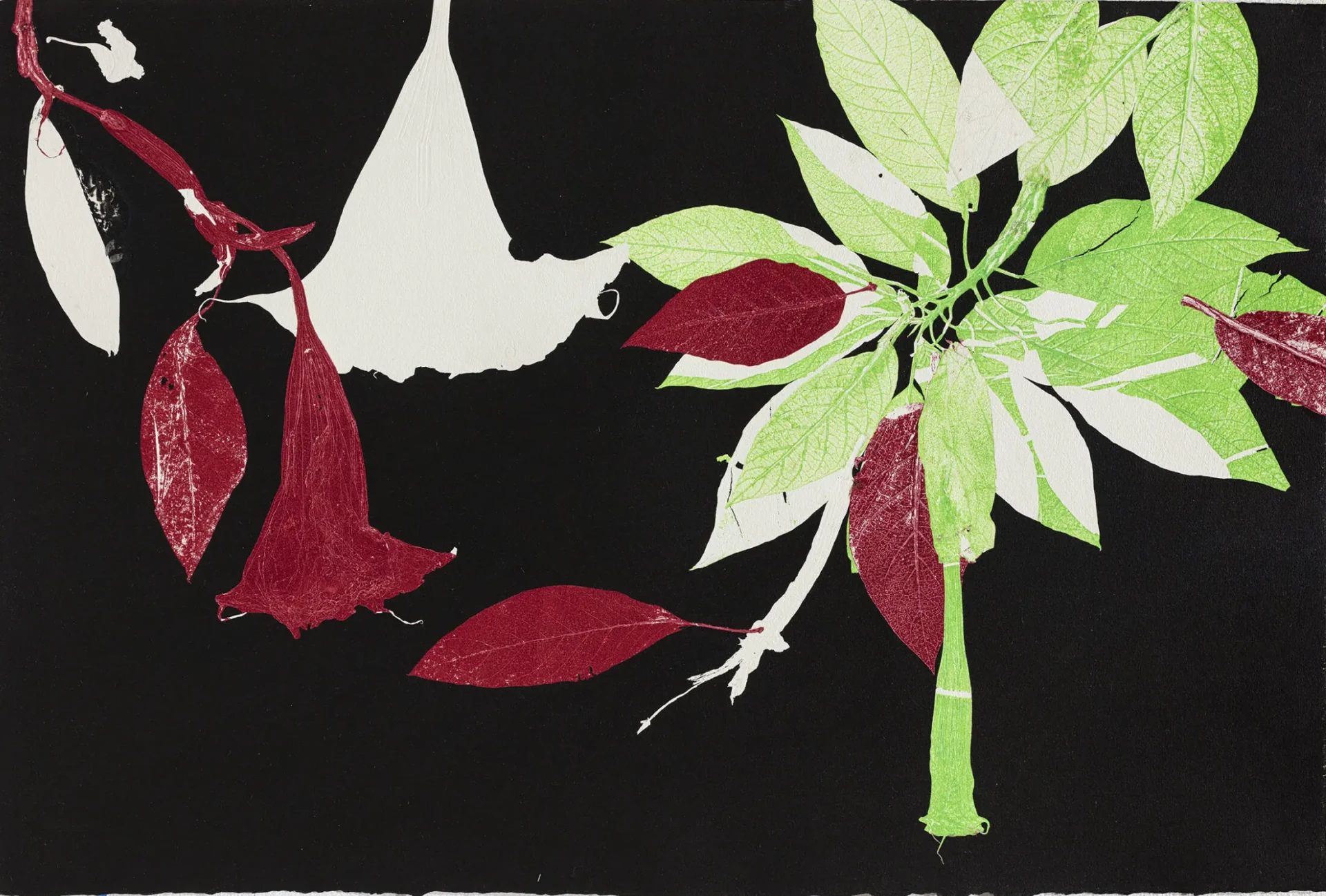 Exposição individual "Estrelas escolhidas", de Luiz Zerbini
