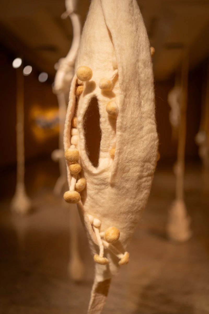 Exposição individual "Micélio, entre o fim e o começo de tudo", de Kyria Oliveira