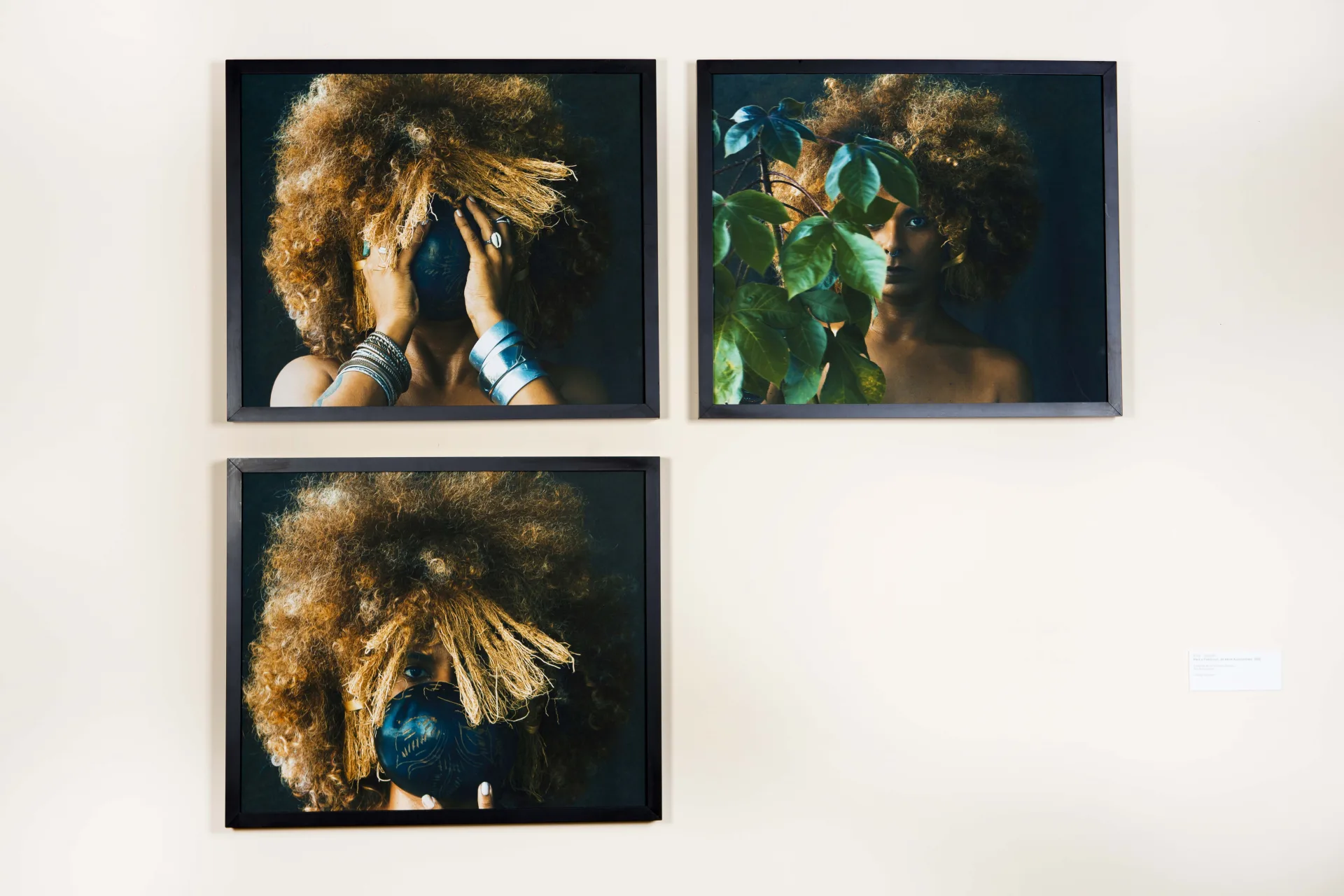 Exposição coletiva "Amazônicas: Poéticas femininas"