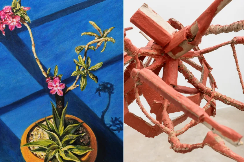 Exposições " Estranha Natureza" de Adriana Coppio e "Entrar na Roda" de Janina McQuoid