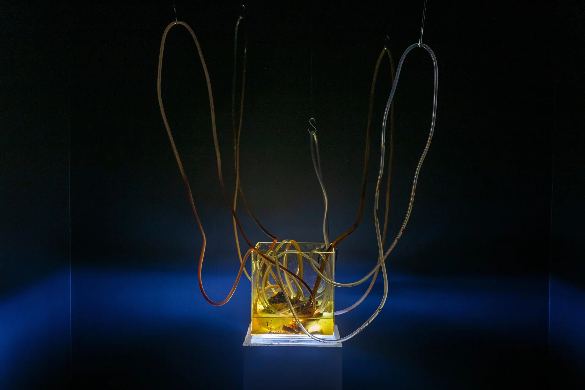 Exposição "Arqueologia da superfície" de Cristina Vasconcelos