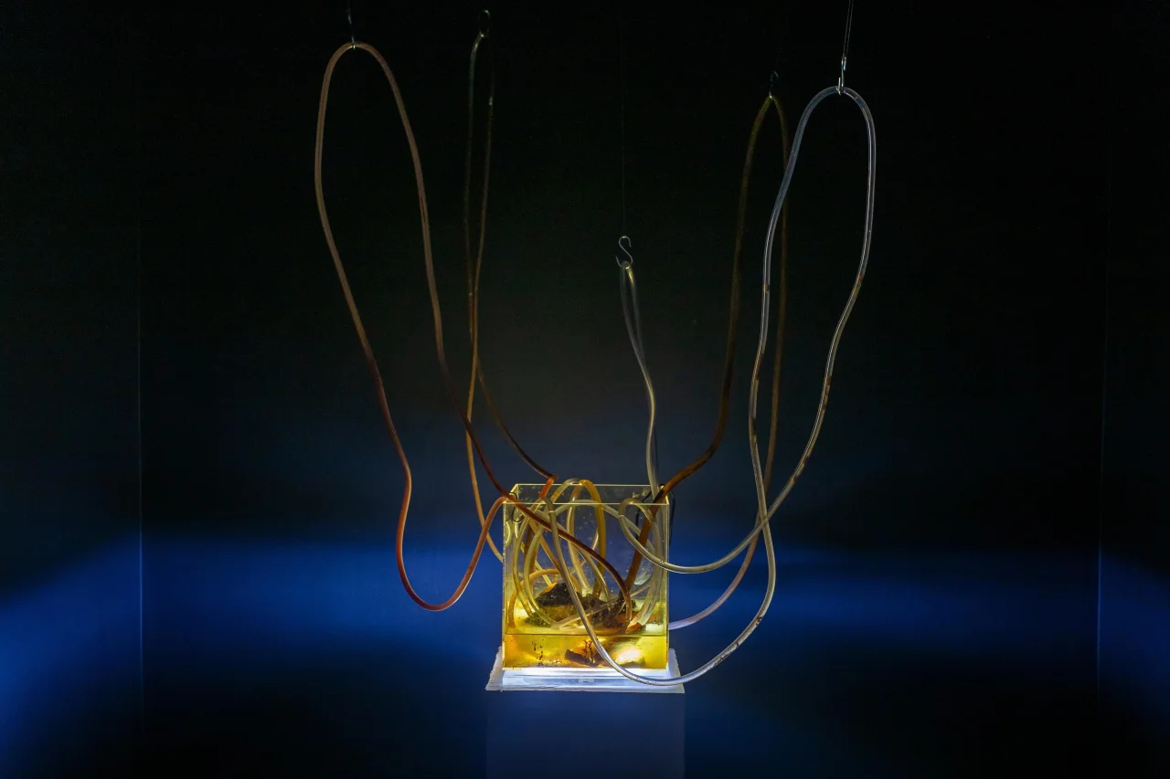Exposição "Arqueologia da superfície" de Cristina Vasconcelos