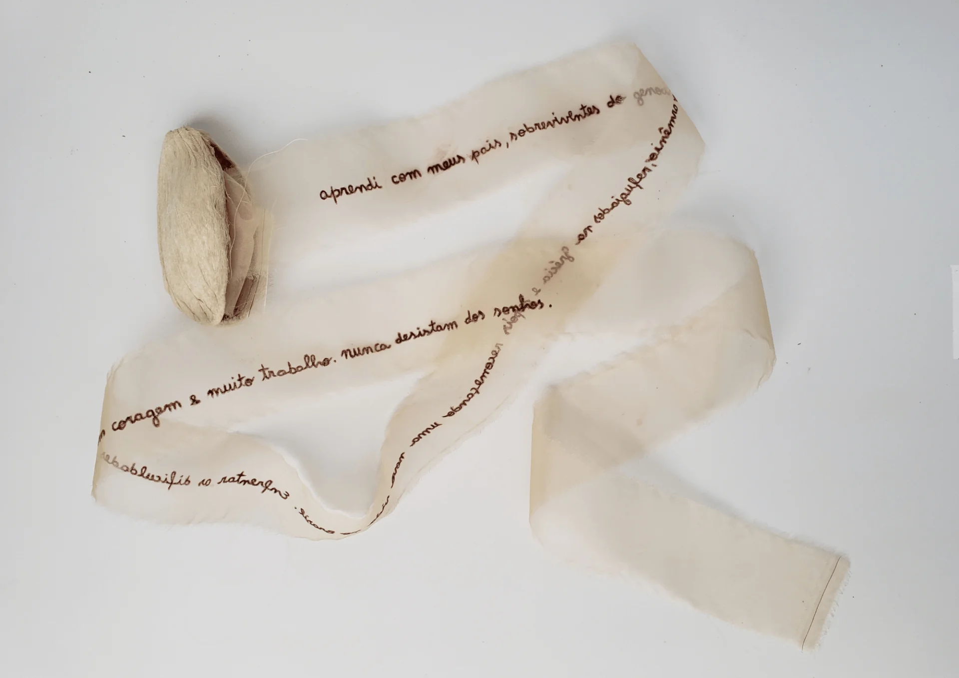 Exposição "Quintal" de Rosana Palazyan