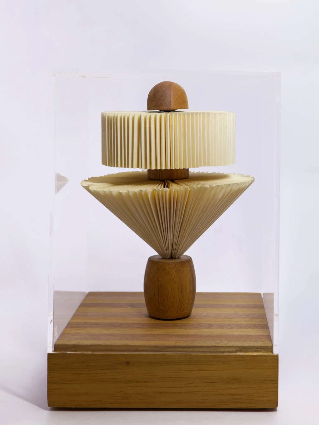 Escultura em papel Marchetaria