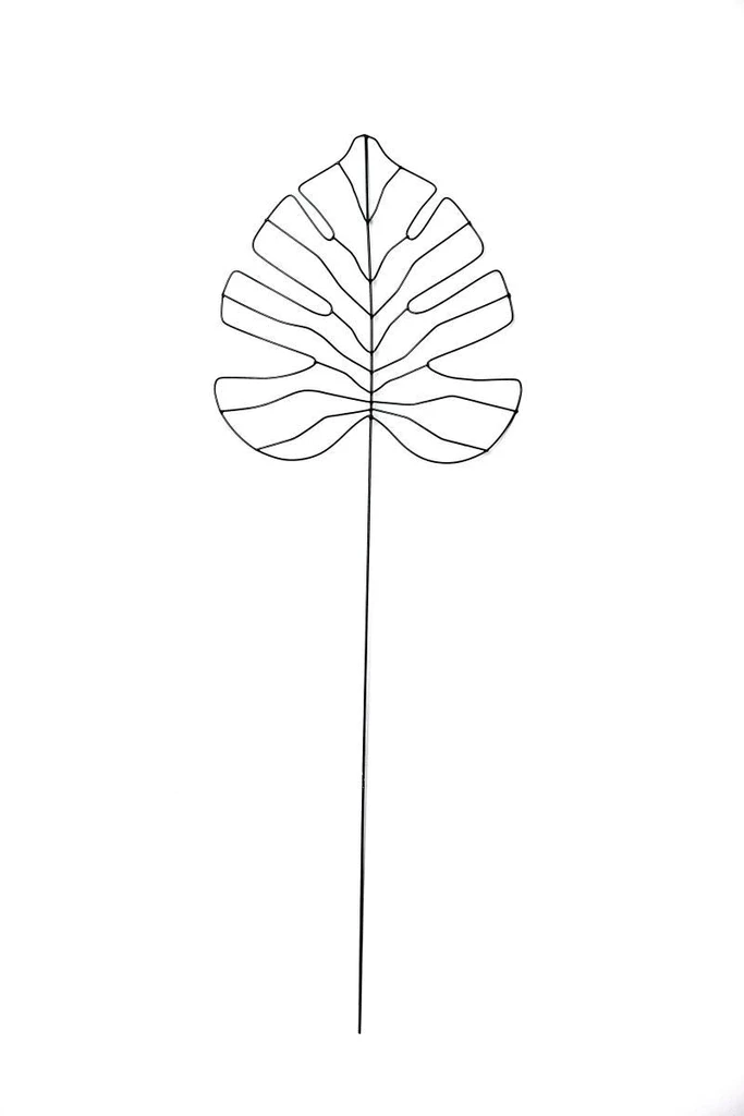 Costela de Adão Menor