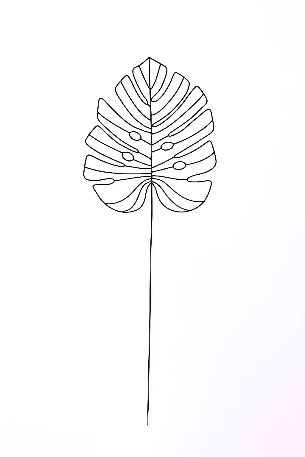 Costela de Adão Maior