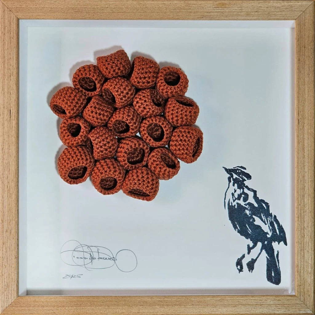 A Casa do João de Barro #6