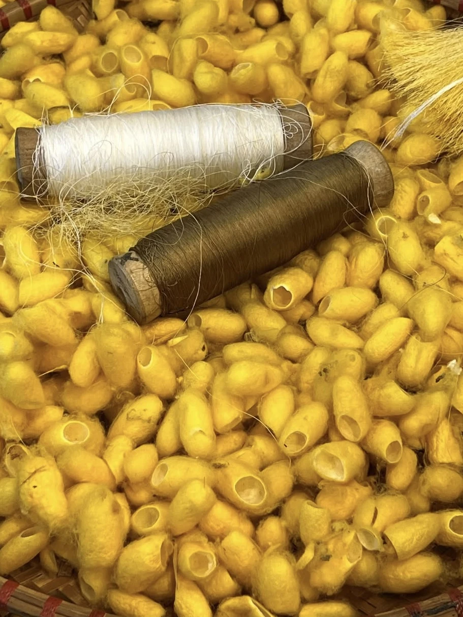 Fotografia Abrigo e transformação