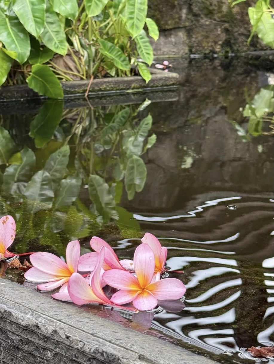 Fotografia Vejo flores em você