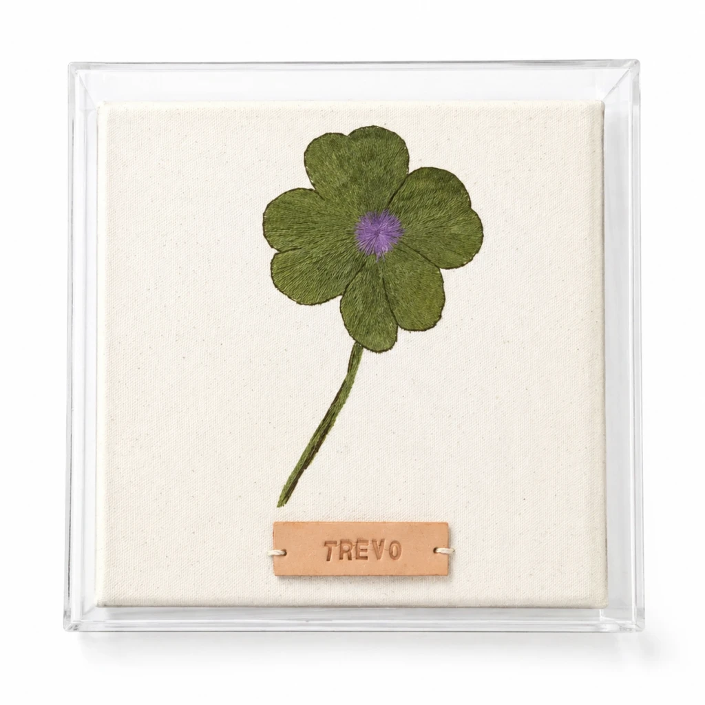 PLANTAS QUE PROTEGEM: TREVO