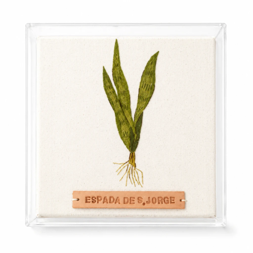 PLANTAS QUE PROTEGEM: ESPADA DE S.JORGE