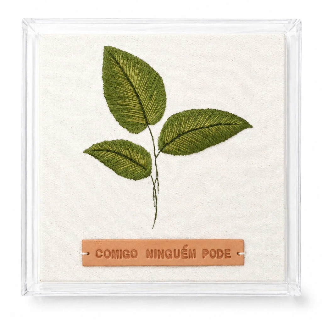 PLANTAS QUE PROTEGEM: COMIGO NINGUÉM PODE