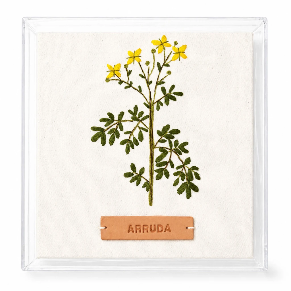 PLANTAS QUE PROTEGEM: ARRUDA
